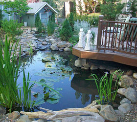 our work, flowers, gardening, outdoor living, pets animals, ponds water features, Feet dangling spot