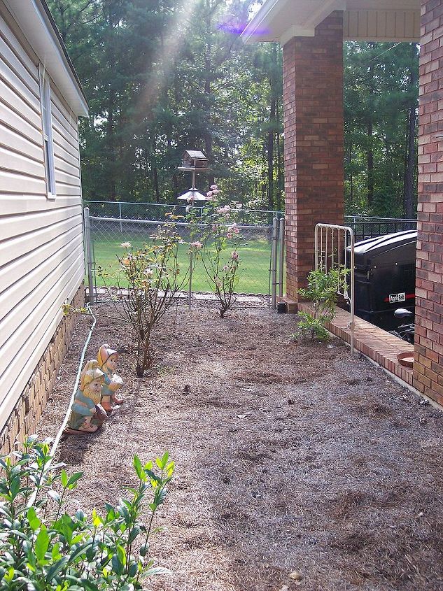 my garden, gardening, outdoor living, This is a before picture of an area between my garden shed and carport I tried roses here but the drainage is bad and it didn t get enough sun