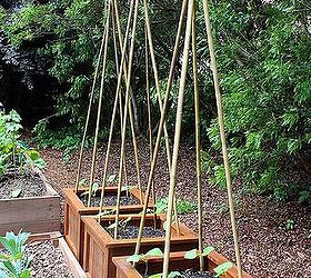 wood planter boxes, diy, gardening, woodworking projects