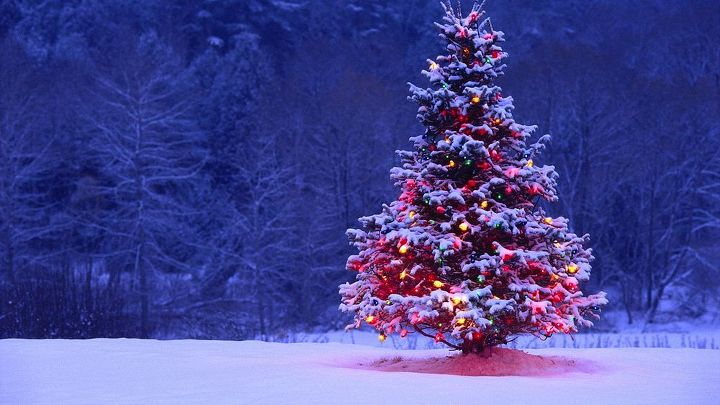 a visual history of christmas trees, christmas decorations, seasonal holiday decor