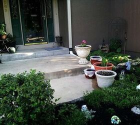 my summer garden has begun for 2013, flowers, gardening, hibiscus, LOTS OF IMPATIENCE AND CANNAS HOSTAS