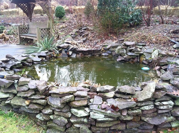 ecosystem fish pond renovation, outdoor living, pets animals, ponds water features, Before picture
