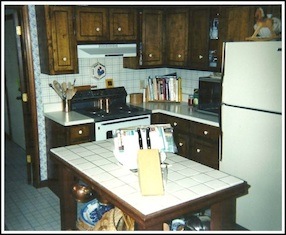 our much needed kitchen makeover, home decor, kitchen design, Ugh No comment necessary You guys are all thinking it