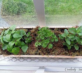 diy planter box herb garden, diy, gardening, Find a sunny location for your herbs to grow