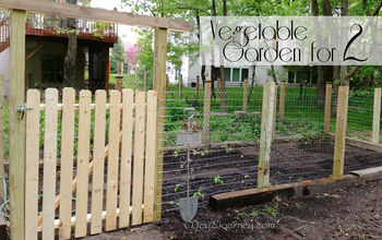 Vegetable Garden for 2 in 2 Days!