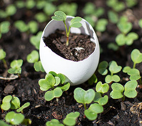 what to do with the leftover eggshells eggshell seedling pots, gardening, repurposing upcycling