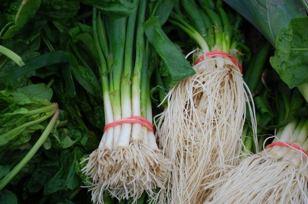 the 16 best healthy edible plants to grow indoors, gardening, Like garlic scallions are part of the allium family of vegetables which has been associated with cancer prevention and may help protect the body from free radicals by products of cellular processes that can cause cellular damage
