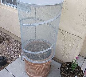 great find for covering plants, container gardening, gardening, repurposing upcycling, on top of a large pot