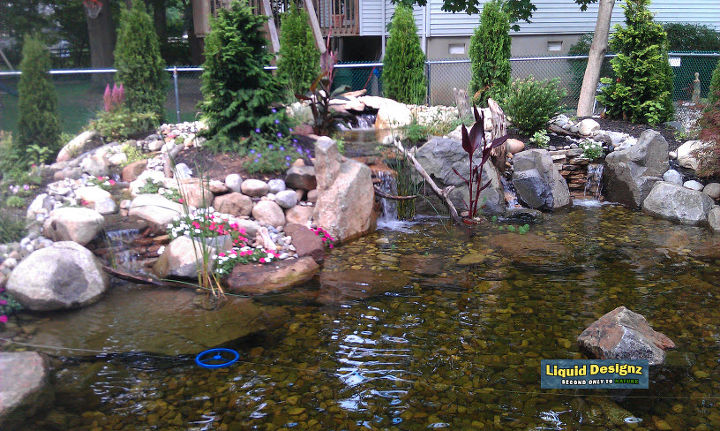 my favorite customer to date, landscape, outdoor living, ponds water features, A better view of the bog area and waterfalls