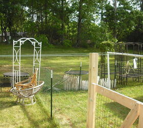 garden and pond from old home digging all up to take to new home, crafts, flowers, gardening, hibiscus, ponds water features, garden items in new home fenced yard for doggies