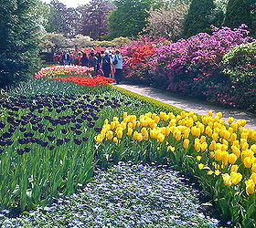 keukenhof gardens, flowers, gardening, The grounds of Keukenhof Gardens are immaculate The paths lead you from one spectacular garden to another