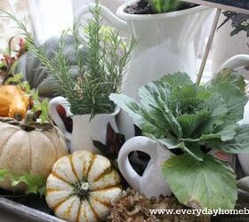 2013 fall home tour at the everyday home, seasonal holiday decor, A large wooden tray is laden with fall plants in white pitchers pumpkins hydrangea and ivy