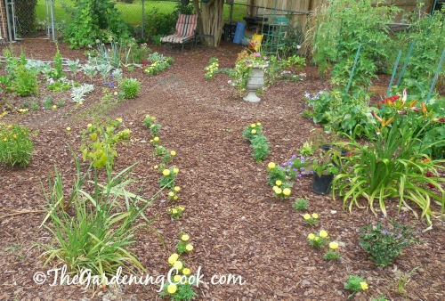 my vegetable garden make over, gardening, landscape