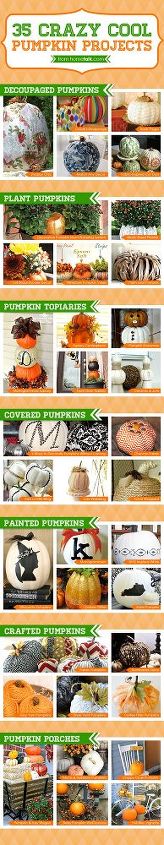answer to win the pumpkin comment contest, Undecided about how to decorate Click here for the best pumpkin projects shared on Hometalk