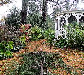 weathered the storm well, home decor, landscape, outdoor living, storm debris