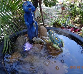 some new pics of my sanctuary, gardening, ponds water features