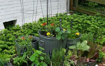 Galvanized Garden ~ Repurposed Container Planting