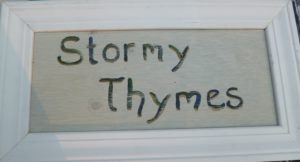rustic garden signs give your garden direction, gardening, There are lots of Thymely Sayings on Drought Smart Plants