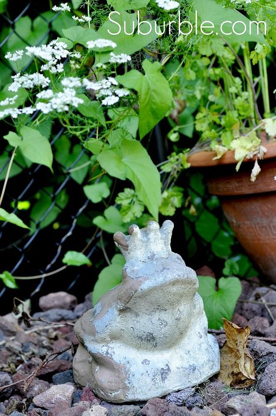 better gnomes and gardens, gardening, And just for fun my frog prince Speaking of magic in the garden