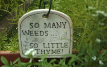 Gardening signs in my yard.
