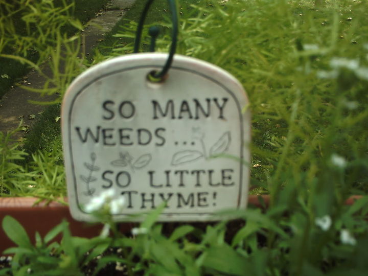 gardening signs in my yard, crafts, gardening, So many weeds so little thyme