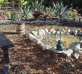 my garden, gardening, one day I deciided I wanted a pond and like the crazy old lady that I am I did and it was July in south FL