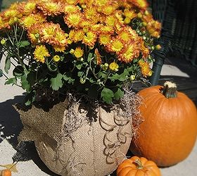 burlap d coupaged pumpkin planter, crafts, decoupage, flowers, gardening, repurposing upcycling, seasonal holiday decor, D coupage a plastic trick or treat pumpkin with burlap to create a fall planter
