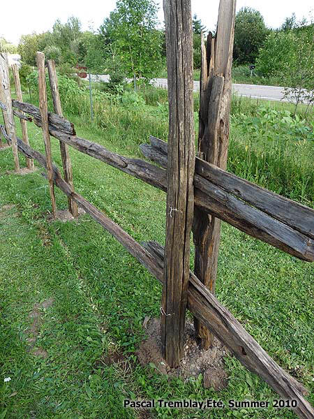 rustic split rail fence how to build a cedar rail fence, diy, fences, how to, landscape, outdoor living, repurposing upcycling, woodworking projects, Fixing rails with wire Building Instructions
