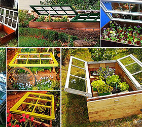 garden conservatory from old windows, flowers, gardening, raised garden beds, repurposing upcycling, windows