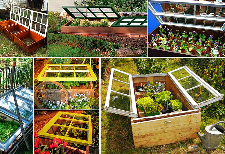 garden conservatory from old windows, flowers, gardening, raised garden beds, repurposing upcycling, windows