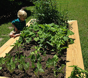 diy raised vegetable garden, gardening