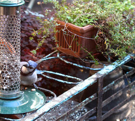 part 4 back story of tllg s rain or shine feeders, outdoor living, pets animals, This image was included in a November post within TLLG s Blogger Pages