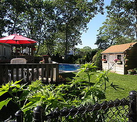 recently our home was on the 2012 garden tour enjoy some of the garden photos, flowers, gardening, outdoor living, pets animals