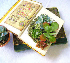 plant fashion 7 glamorous potting ideas, container gardening, flowers, gardening, succulents, Books Instead of letting your books collect dust on a shelf use old novels as a potting solution For more ways to decorate with books in your home read Four Ways to Decorate with Tomes