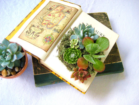 plant fashion 7 glamorous potting ideas, container gardening, flowers, gardening, succulents, Books Instead of letting your books collect dust on a shelf use old novels as a potting solution For more ways to decorate with books in your home read Four Ways to Decorate with Tomes