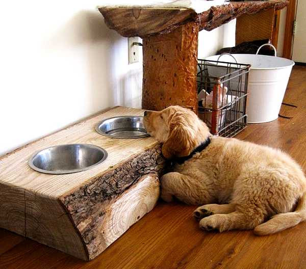 creative dog bowls diy, diy, pets animals, woodworking projects