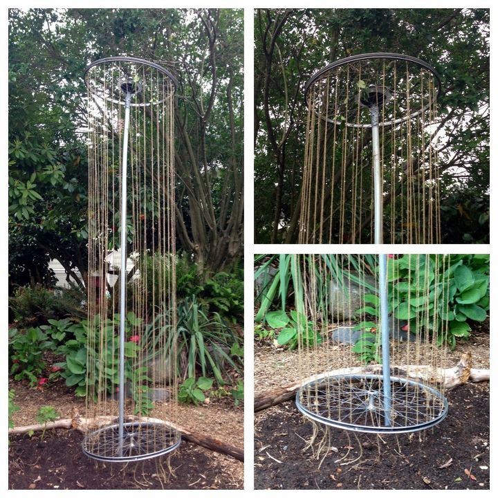bicycle wheel trellis, gardening, repurposing upcycling, A great idea for growing peas in a compact space The project looks fairly simple as well