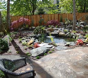 before and after hillsboro oregon backyard renovation, flowers, outdoor living, patio, pets animals, ponds water features, The finished Hillsboro Oregon backyard where Orenco Station homeowners Rick and Diane enjoy the start of the day