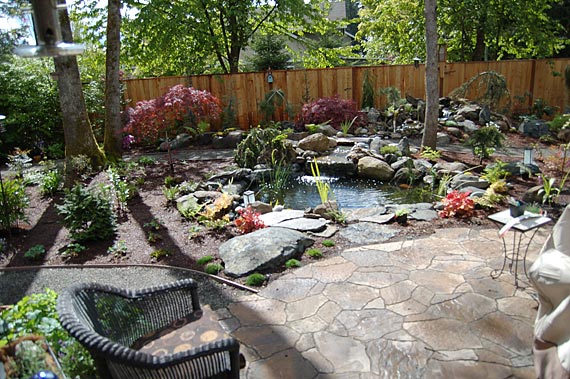 before and after hillsboro oregon backyard renovation, flowers, outdoor living, patio, pets animals, ponds water features, The finished Hillsboro Oregon backyard where Orenco Station homeowners Rick and Diane enjoy the start of the day