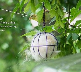 hummingbird nest helper, gardening