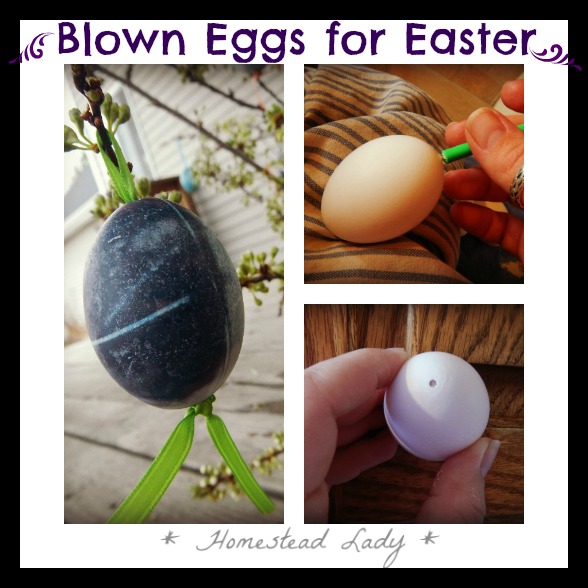 blown eggs for easter decorating, easter decorations, seasonal holiday d cor