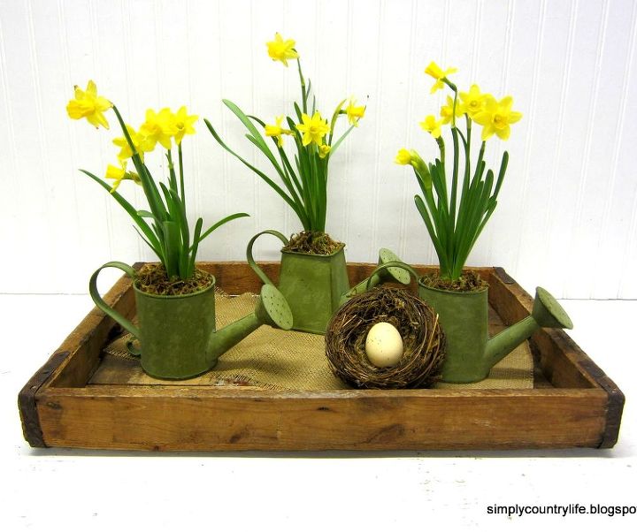 daffodils in watering cans centerpiece, crafts, gardening, seasonal holiday decor