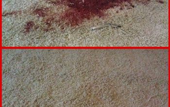 ¿Cómo quitar la sangre de la alfombra?