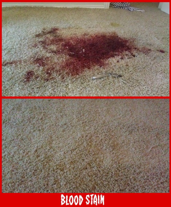 como quitar la sangre de la alfombra, Cr dito de la foto