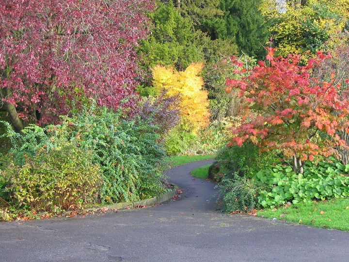 gardening tips and tricks for the busy gardener, gardening, Autumn colors