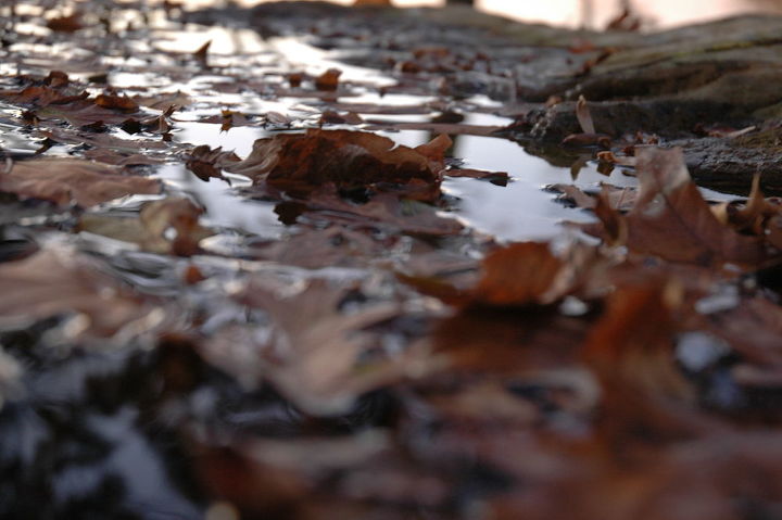 fotos de outono favoritas no vanishing edge pond timo momento para cores texturas, Lagoa de borda de fuga projetada e constru da em Eatons Neck Long Island