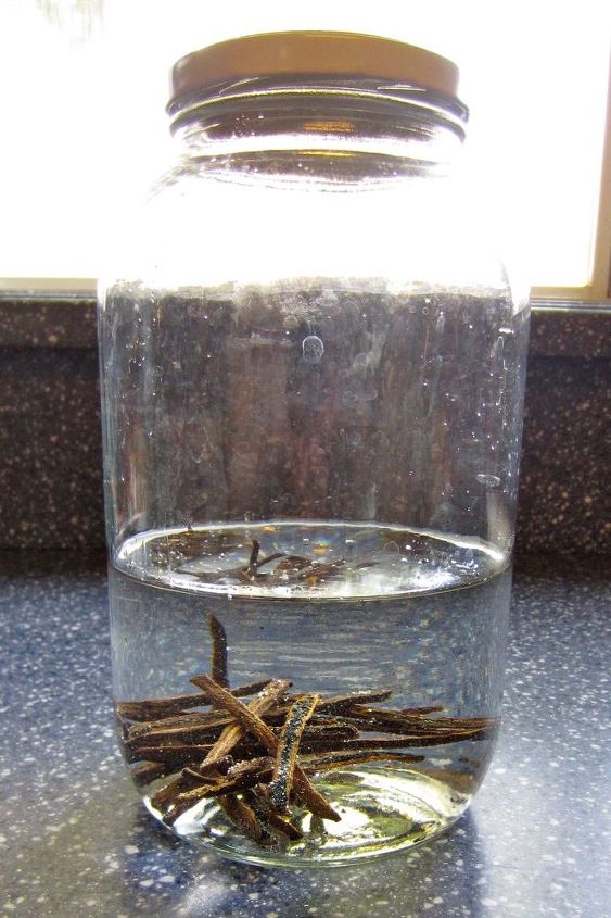 how to make vanilla extract, homesteading, Put the jar in a cool dark place and leave it steep for a while