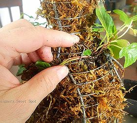 diy bunny topiary, crafts, gardening, I used topiary pins and hair pins to train the ivy around the form To water I soak it in the sink for about 10 minutes when it is dry My bunny will look great in my shade garden this summer