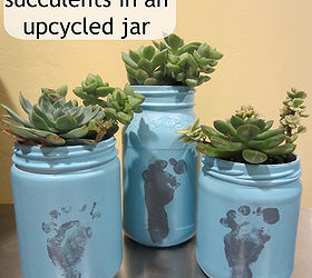 grow succulents in upcycled jar, flowers, gardening, repurposing upcycling, succulents, all you need is an old jar some paint soil succulents