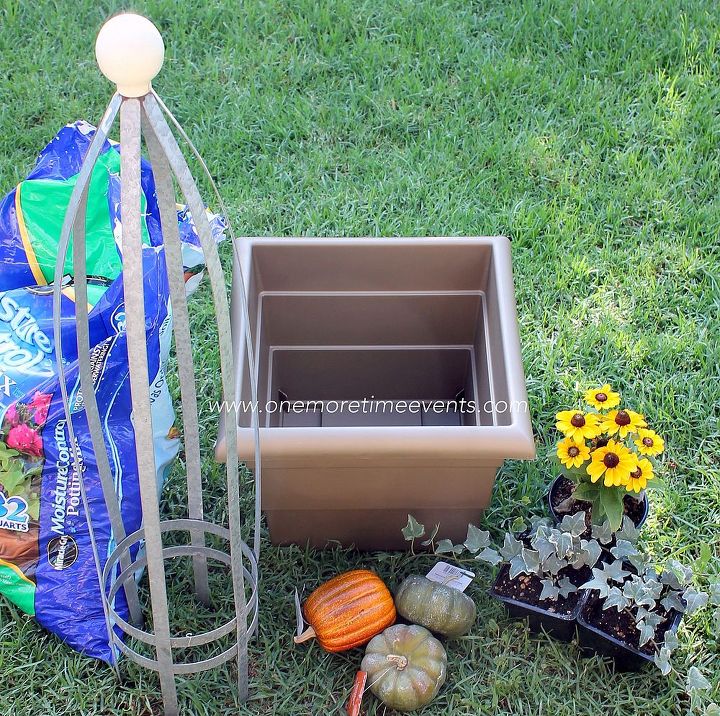 fall small container gardening and pet proof garden ideas, container gardening, flowers, gardening, Items you will need to create your fall container garden Ivy Black Eyed Susan s Cage and faux pumpkins